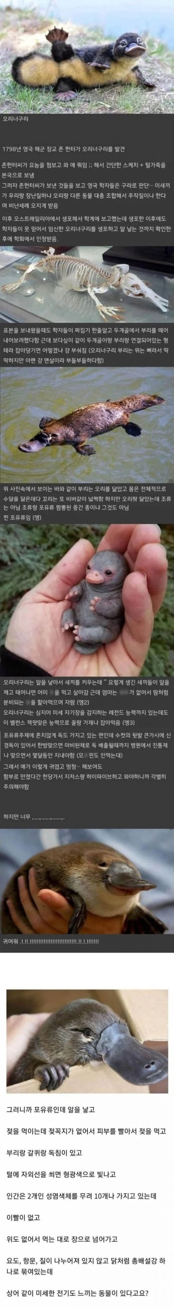 17063622461851.jpeg