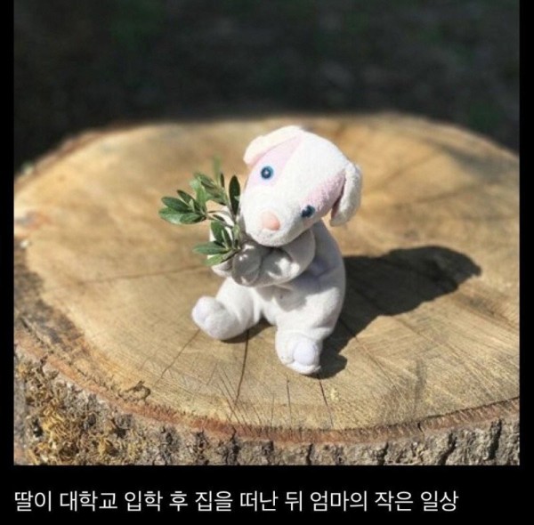 17064109092297.jpg
