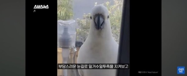 1706491849945.jpg