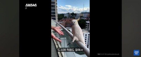 17064918519307.jpg