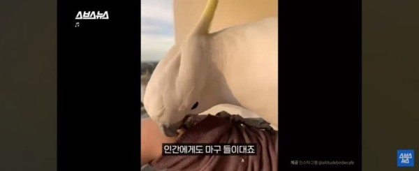 1706491852732.jpg