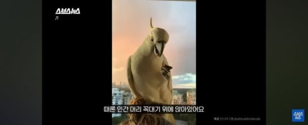 17064918539303.jpg