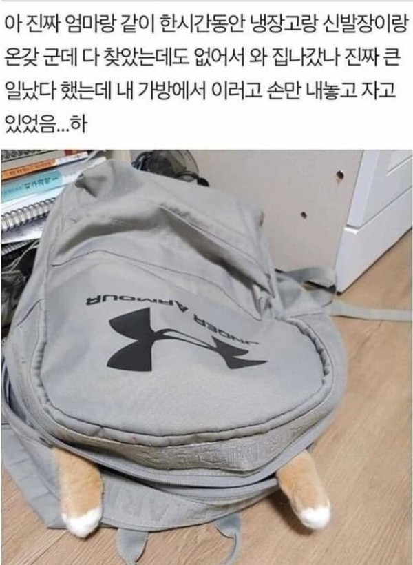 17065009057259.jpg