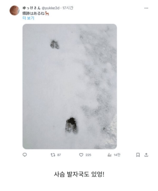 17065081031942.png