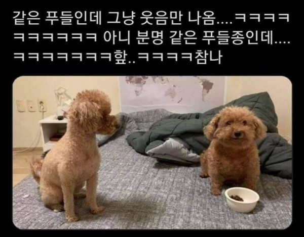 17065152485447.jpg