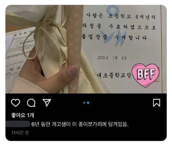 17065224495319.jpeg