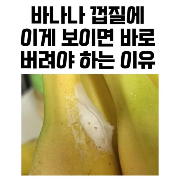 17065368413262.jpeg