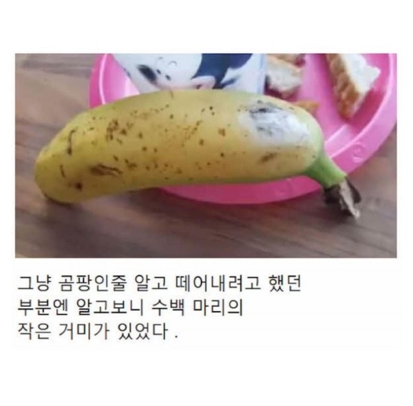 17065368419789.jpeg
