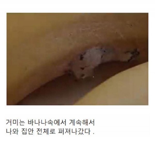 17065368422471.jpeg