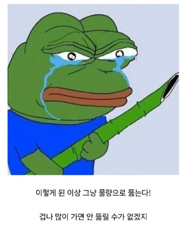17065962549441.jpg