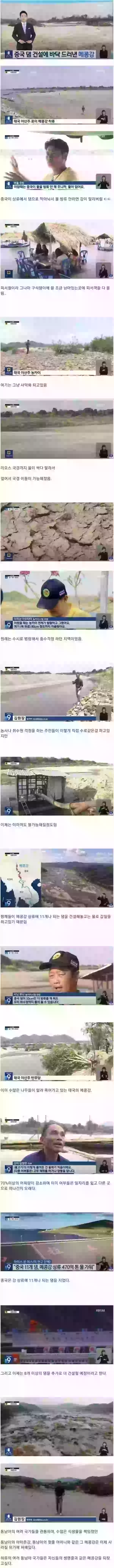 17066070460345.webp