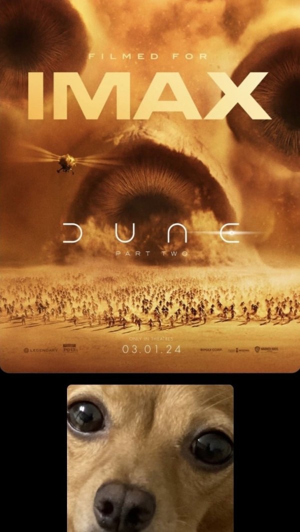 17068518516271.jpeg