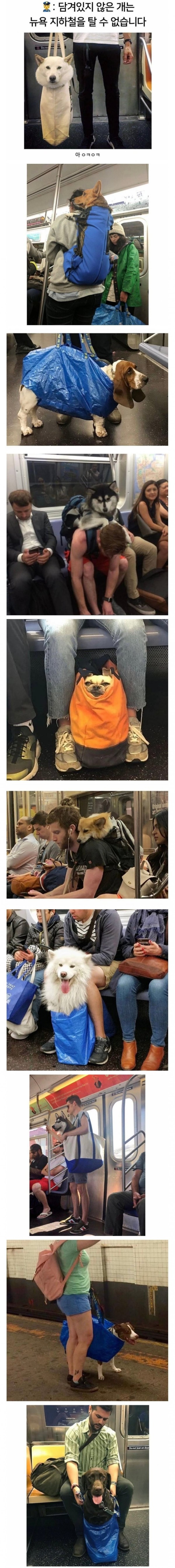 17070408445434.jpeg