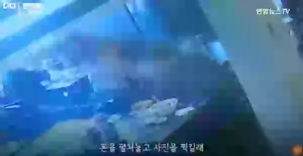 1707375645279.webp