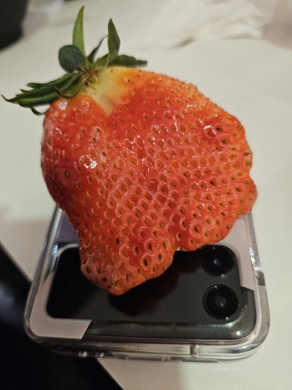 17073793023537.jpg