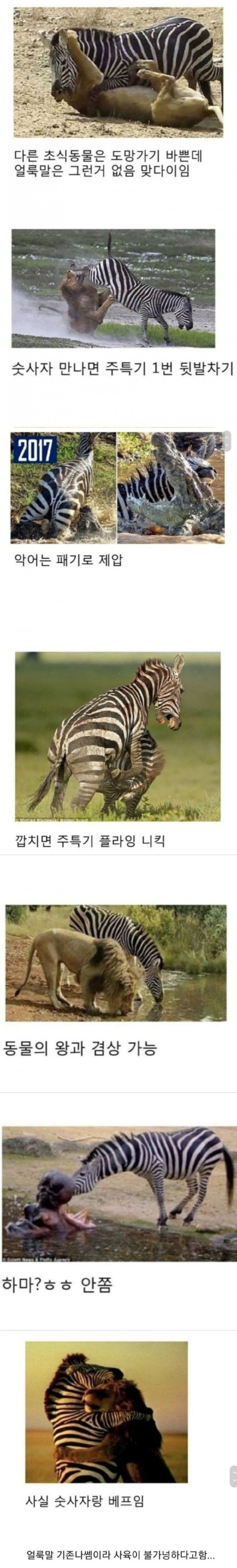 17073972871287.png