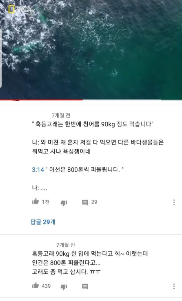 1707399102789.jpg