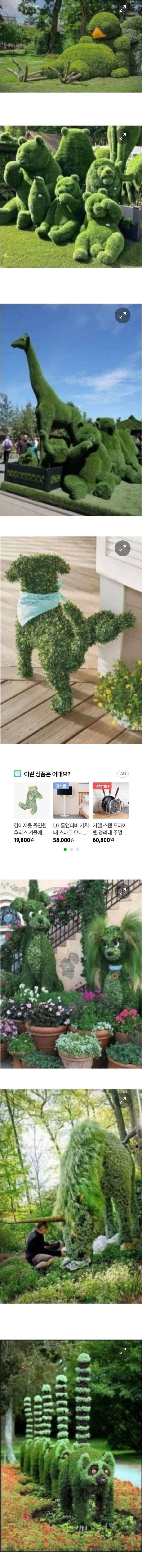 17074008508913.jpg