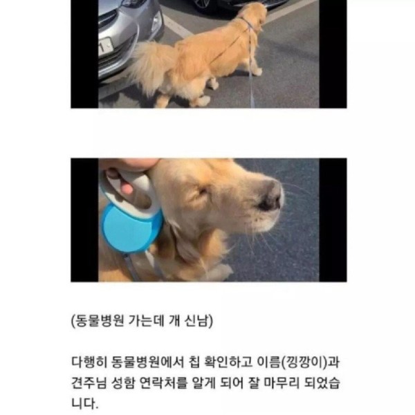 1707408093967.jpg