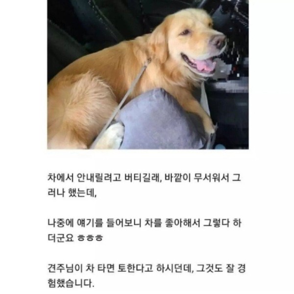 17074080944582.jpg