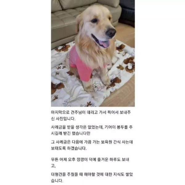 17074080948607.jpg