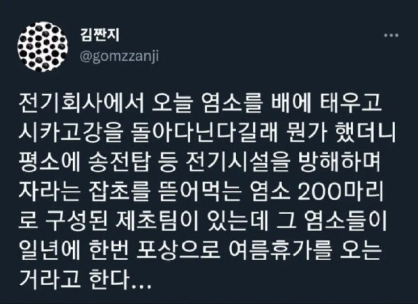 17074098842163.jpg