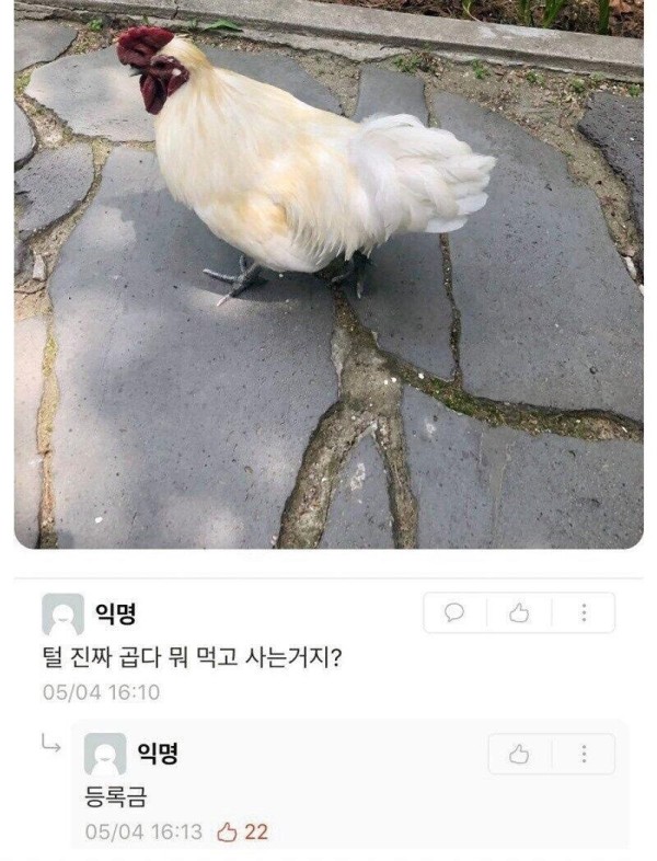 17074134979706.jpg