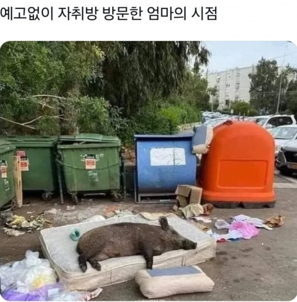 17074206507742.png
