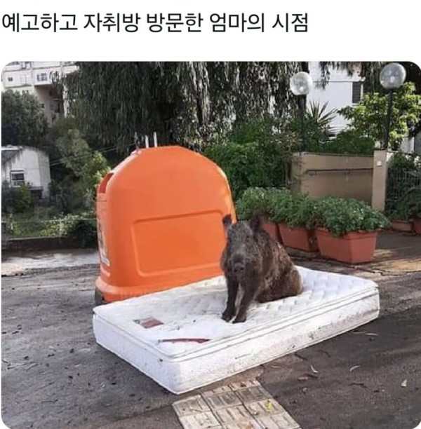 170742065103.png