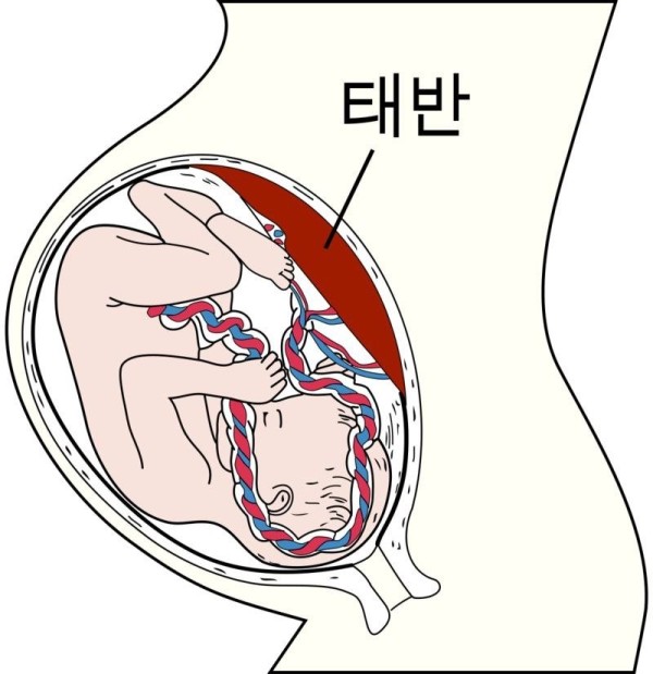 17074711018486.jpg