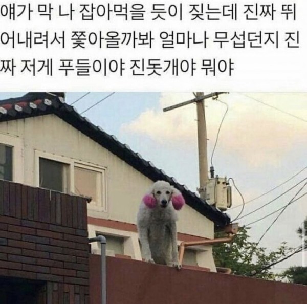 17076582493712.jpeg