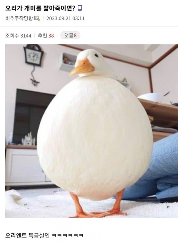 1707751842828.jpg