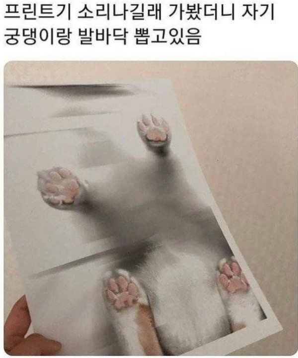 17077968462785.jpg