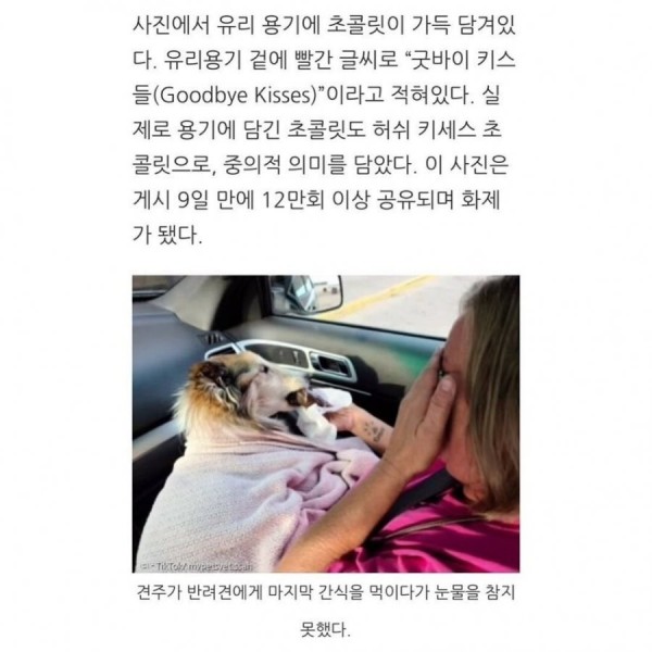 17078274464618.jpeg