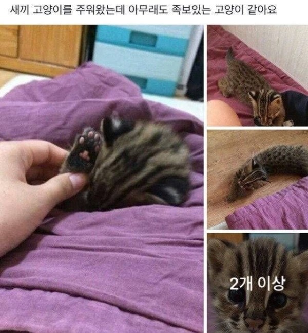 17078760577288.jpg