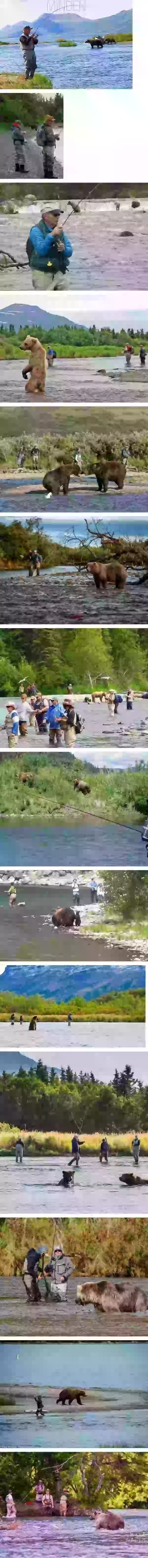 17078994332159.webp