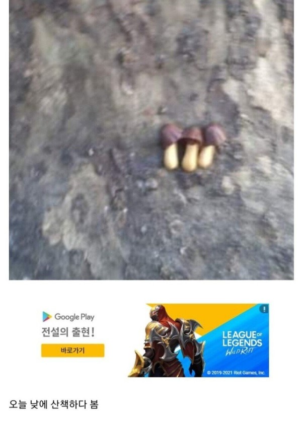 1707967904617.jpg