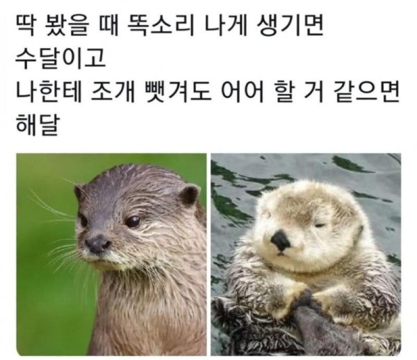 17079822491474.jpeg