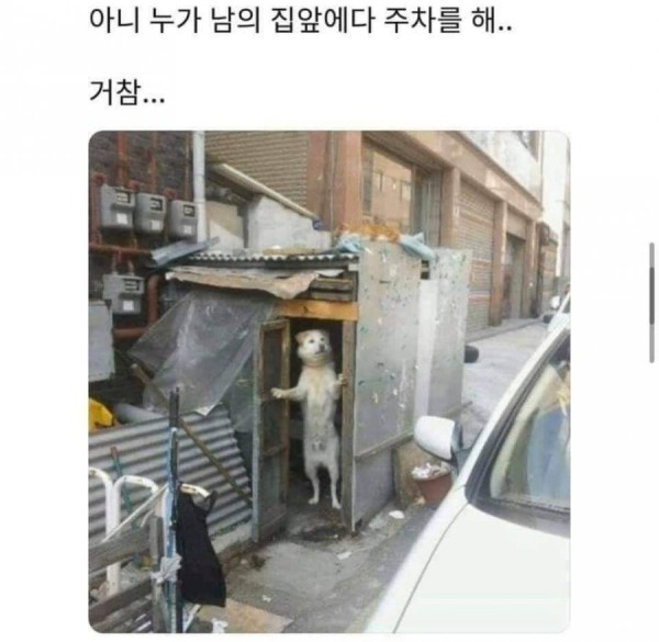 1708045246573.jpg