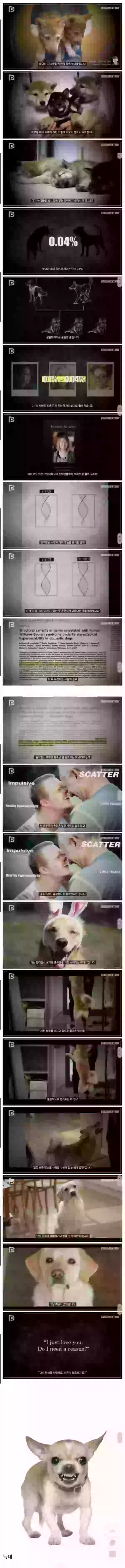 17080578488421.webp
