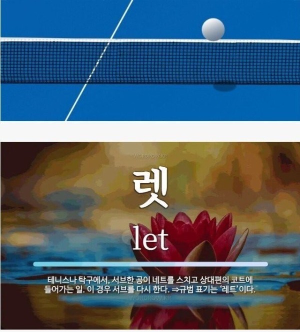 17081370452051.jpg