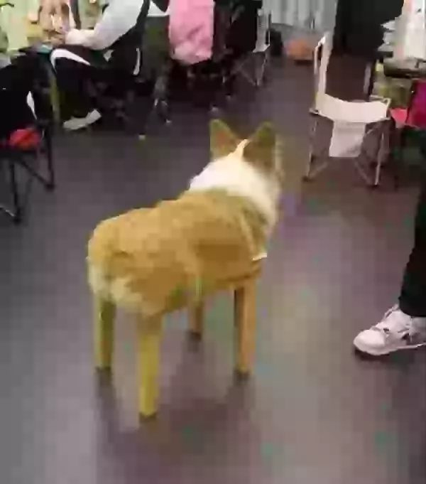 17081406439973.webp