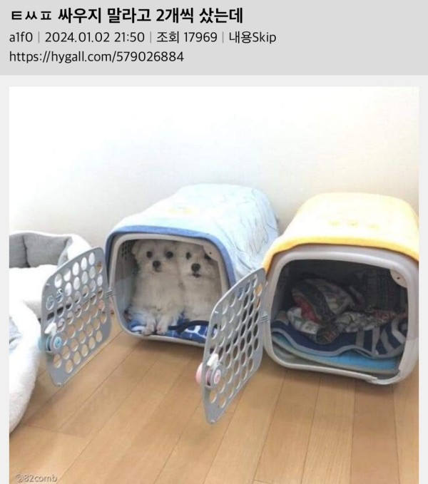 17081532987444.jpg