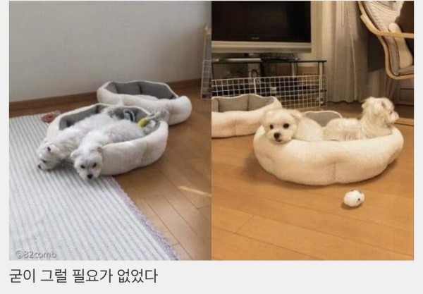 17081532992665.jpg