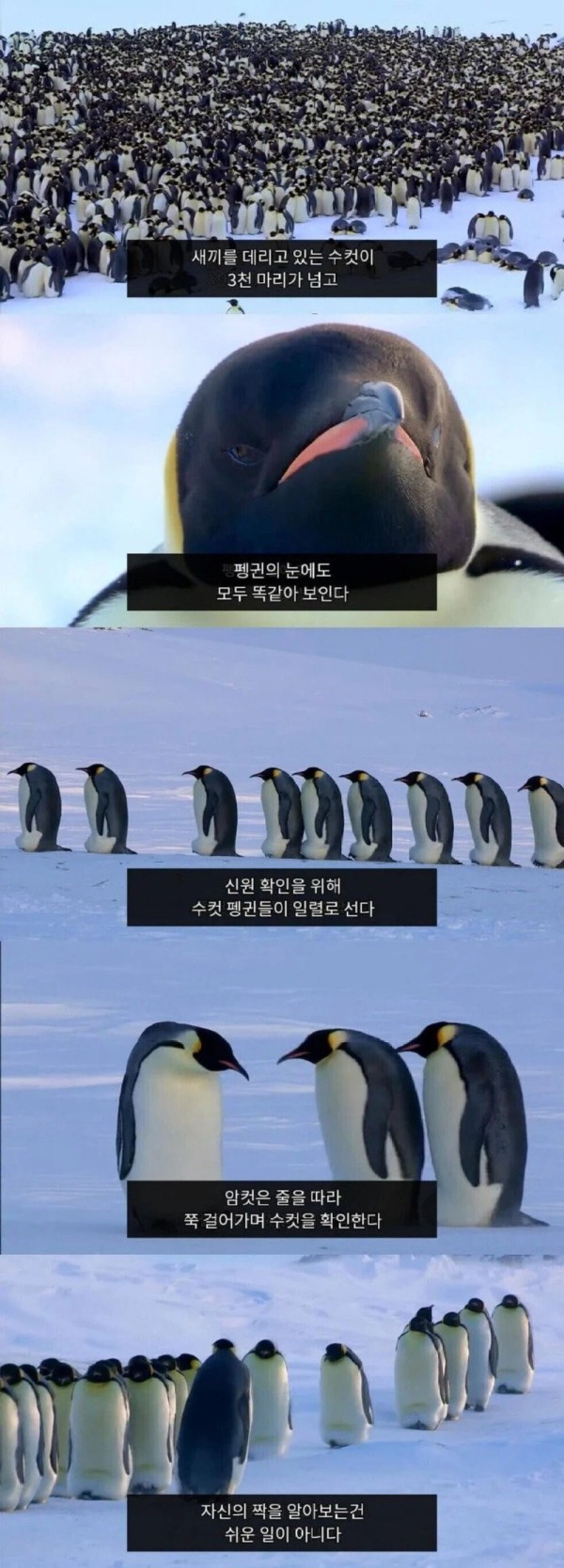 17082540974243.jpg