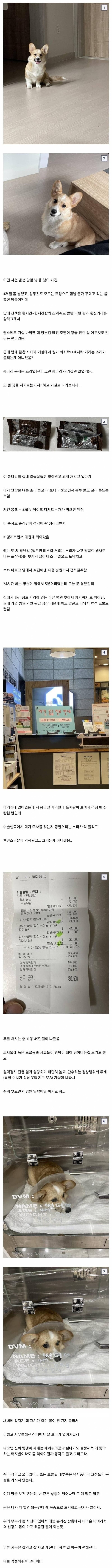 17083044393717.jpeg