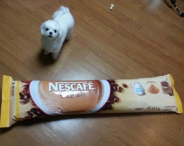 17083062463909.jpeg