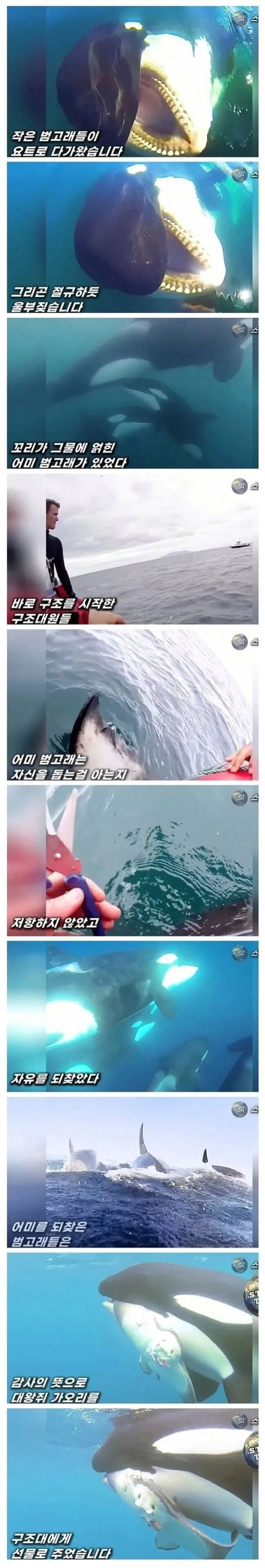 17083098566888.png