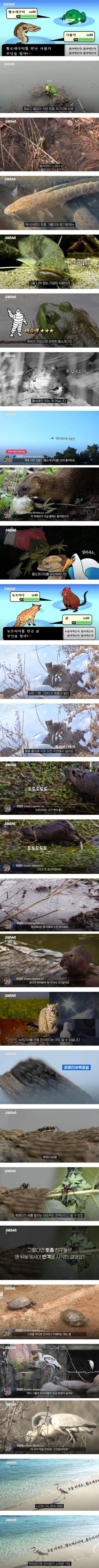 17083152390636.jpg