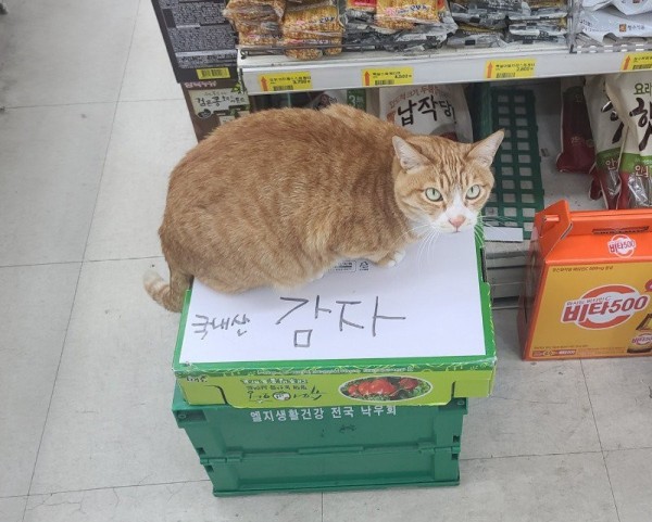 17083333016713.jpg